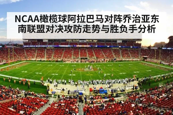 american football stadium crowd